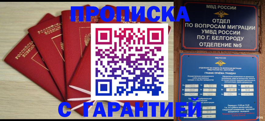 миграционный учет в Владимирской области